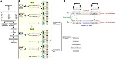 A First Insight Into the Heat-Induced Changes in Proteomic Profiles of the Coral Symbiotic Bacterium Endozoicomonas montiporae